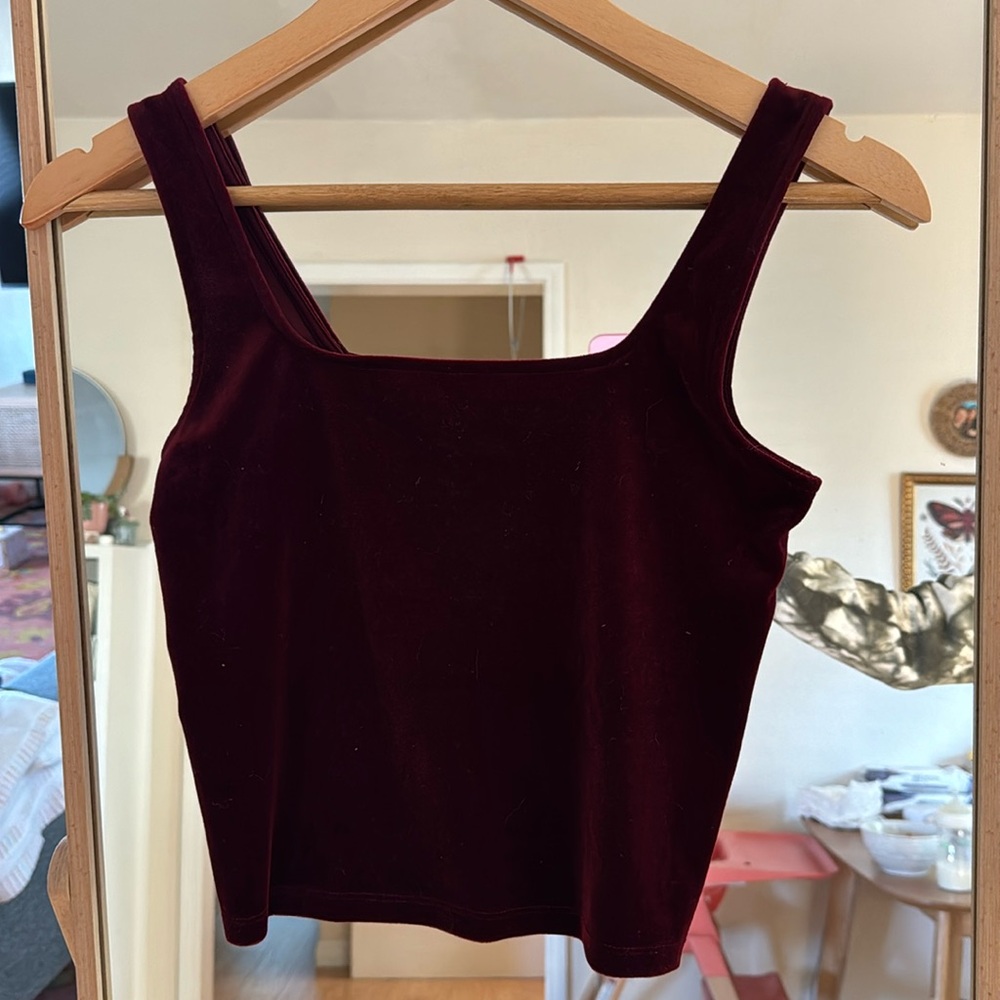 Express red velvet top